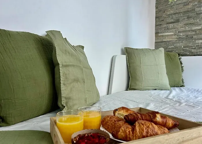 Le Cosy - Hypercentre - Wifi - Place De Jaude - Opera